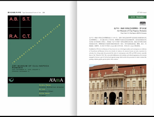 22nd AAmA, Art Museum of Cluj-Napoca, Romania